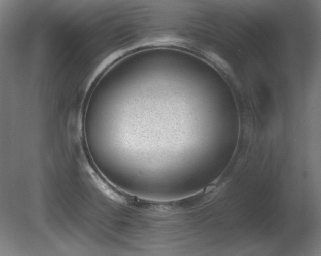 X0000081291420200701111347