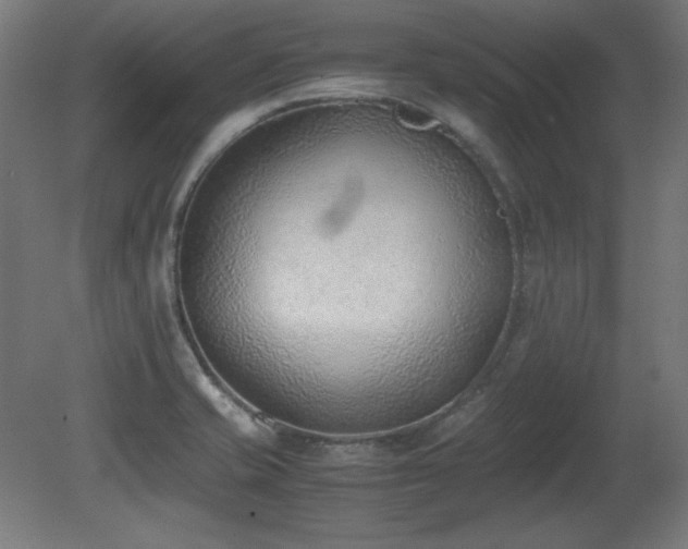 X0000081291421200701111347