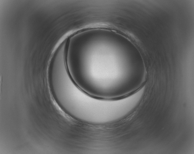 X0000081291422200701111347