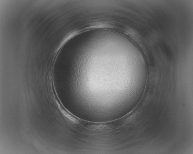 X0000081291425200701111347