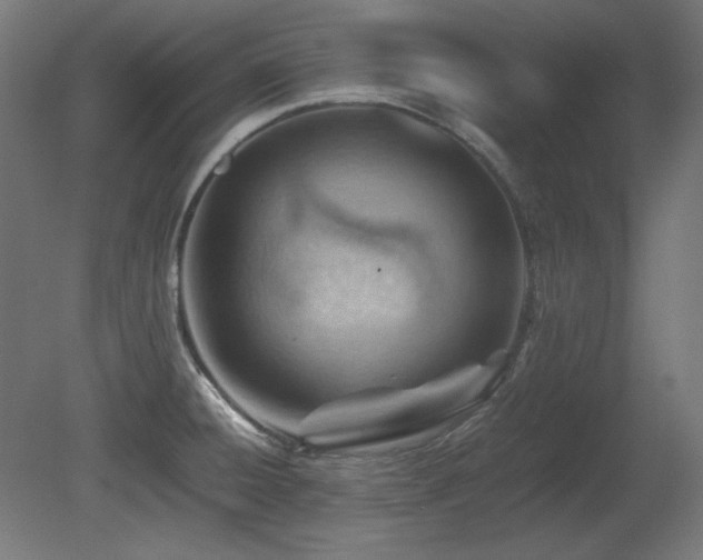 X0000081291428200701111347