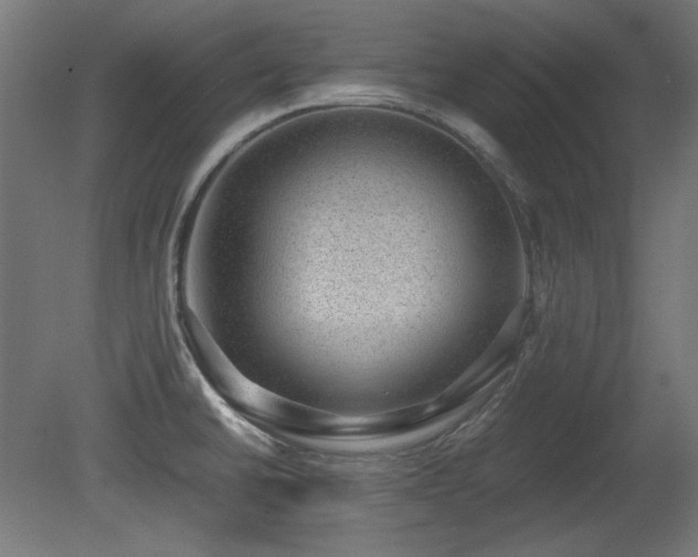 X0000081291430200701111347