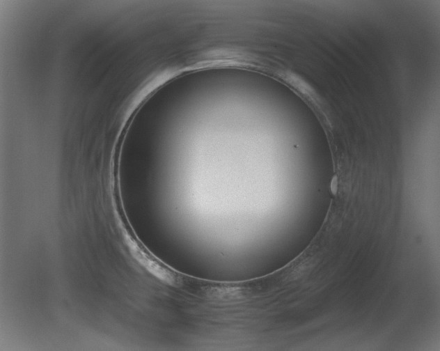 X0000081291431200701111347
