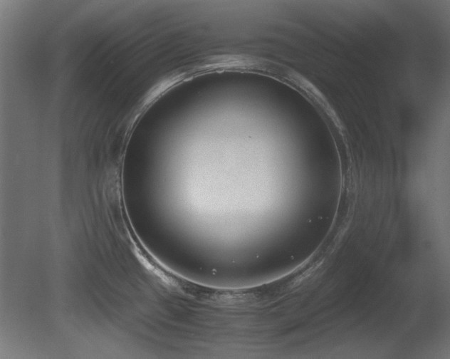 X0000081291433200701111347