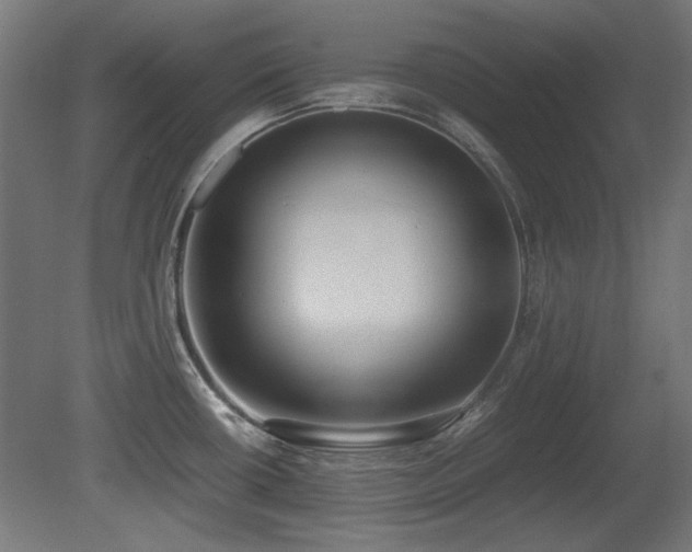 X0000081291434200701111347
