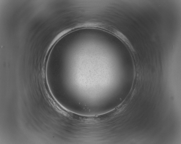 X0000081291436200701111347