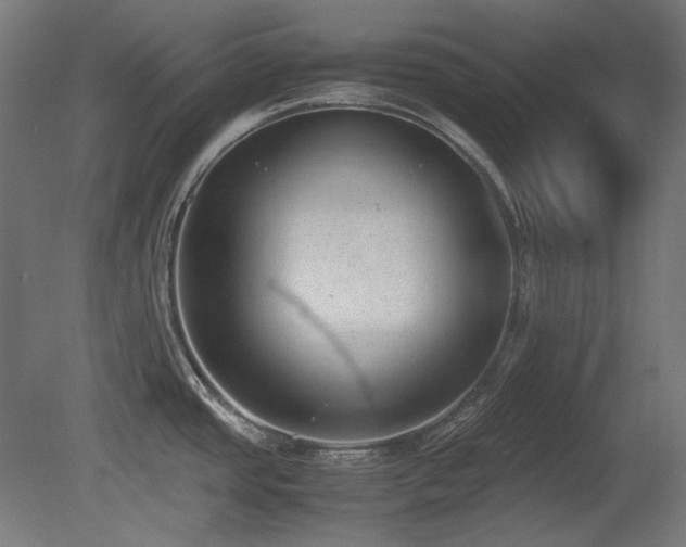 X0000081291437200701111347