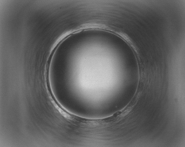X0000081291438200701111347