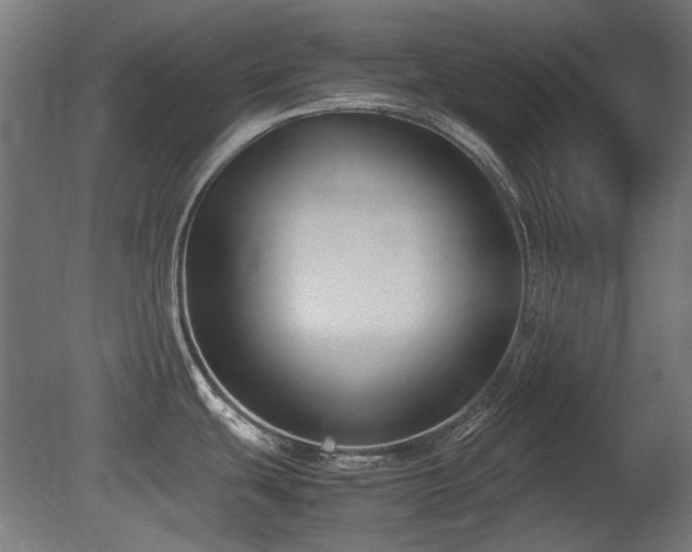 X0000081291439200701111347