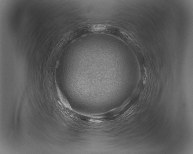 X0000081291441200701111346