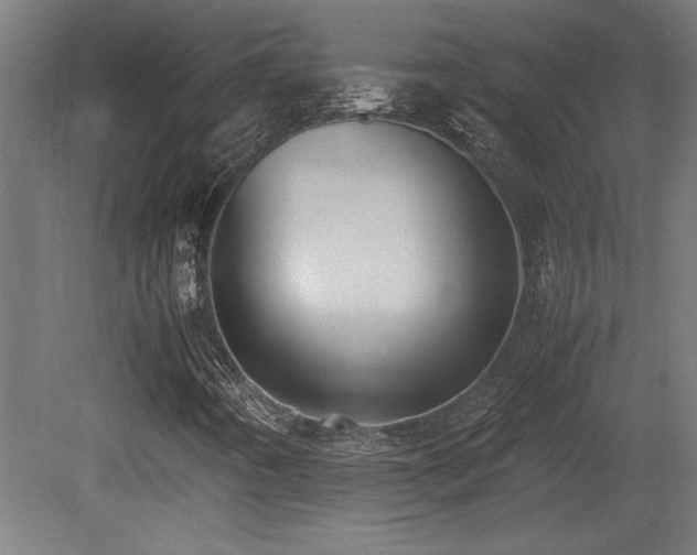 X0000081291442200701111346