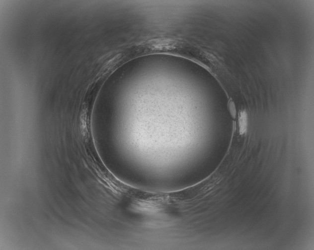 X0000081291444200701111346