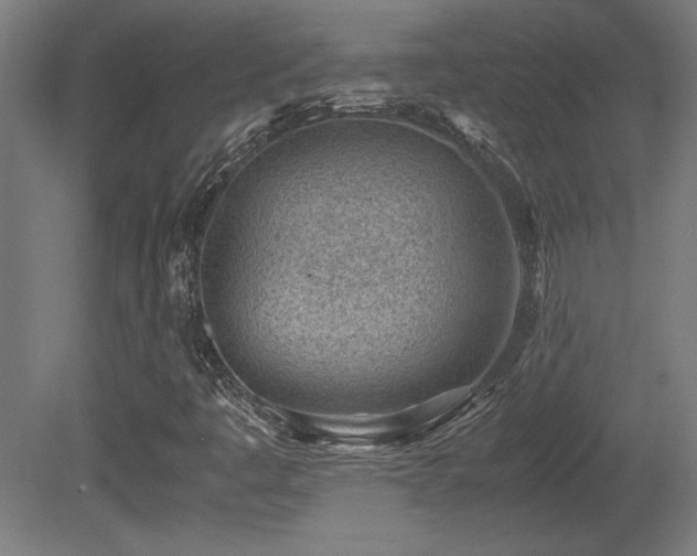 X0000081291445200701111346