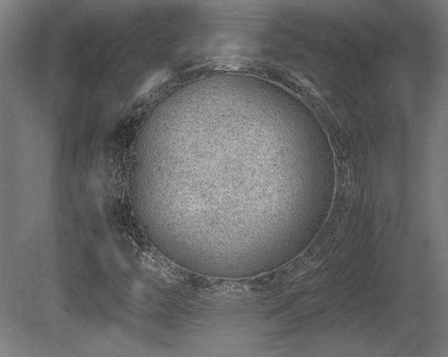 X0000081291446200701111346
