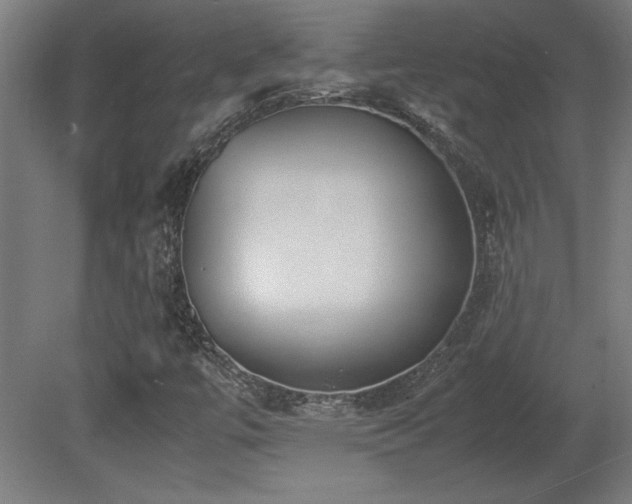 X0000081291447200701111346