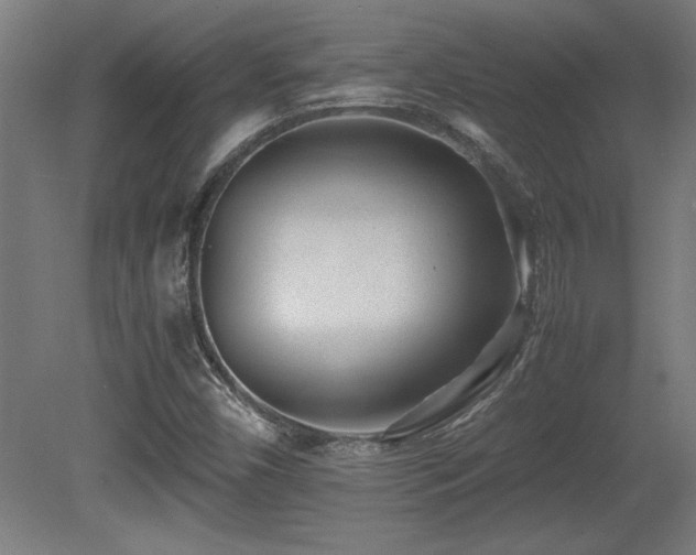X0000081291450200701111346
