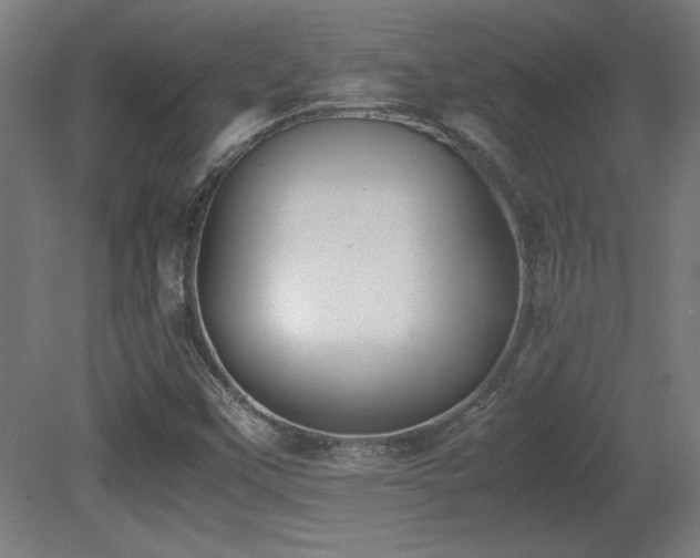 X0000081291451200701111346