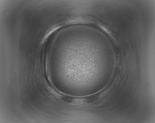 X0000081291453200701111346