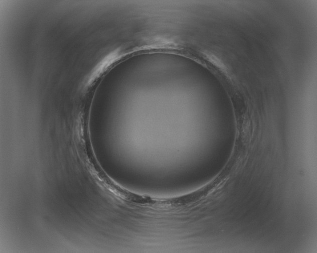 X0000081291455200701111346