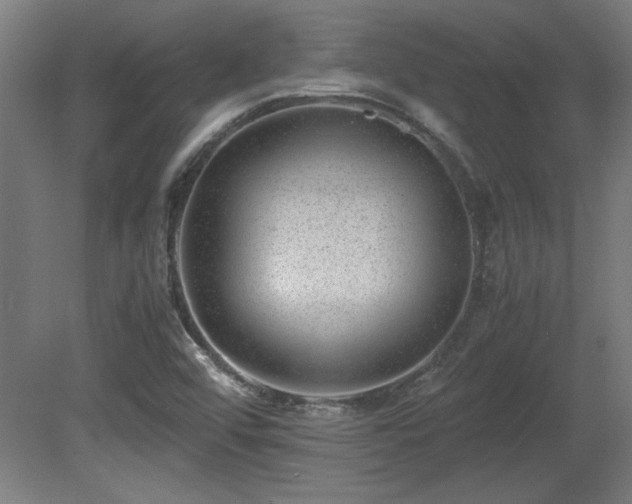 X0000081291456200701111346