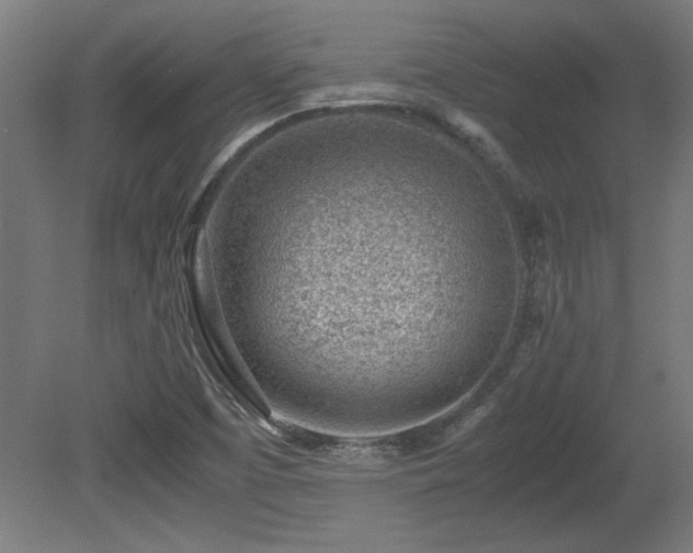 X0000081291457200701111346