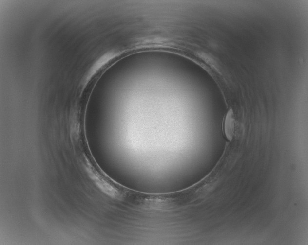 X0000081291458200701111346