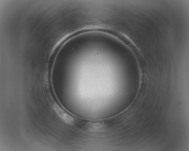 X0000081291460200701111346