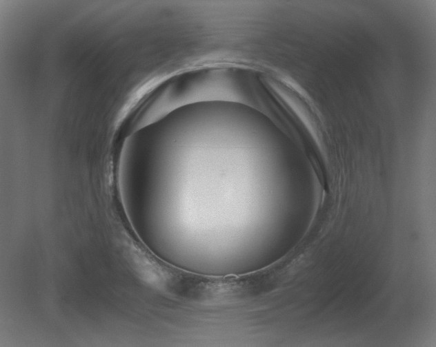 X0000081291461200701111346
