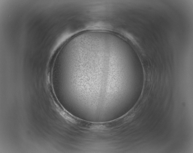 X0000081291462200701111346