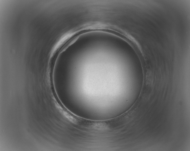 X0000081291464200701111346