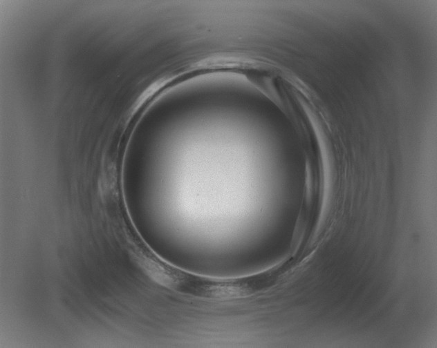 X0000081291465200701111346