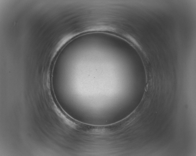X0000081291468200701111346