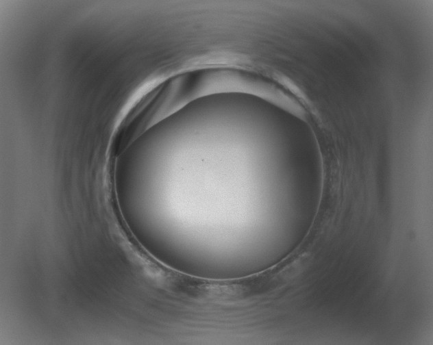 X0000081291469200701111346