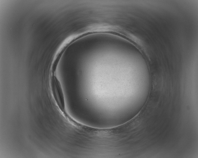 X0000081291472200701111346