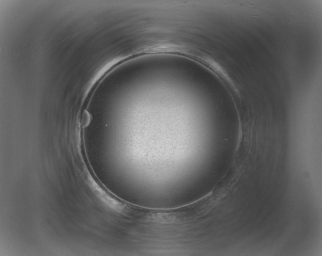 X0000081291476200701111345