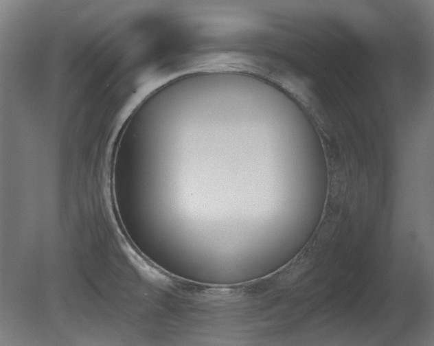 X0000081291478200701111345