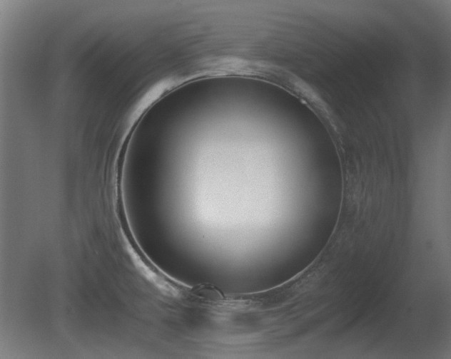 X0000081291479200701111345