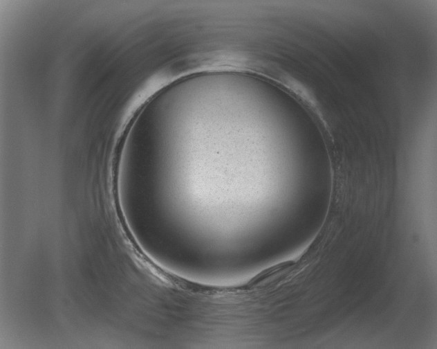X0000081291480200701111345