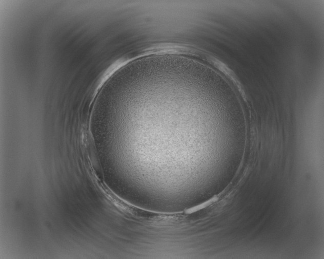 X0000081291481200701111345