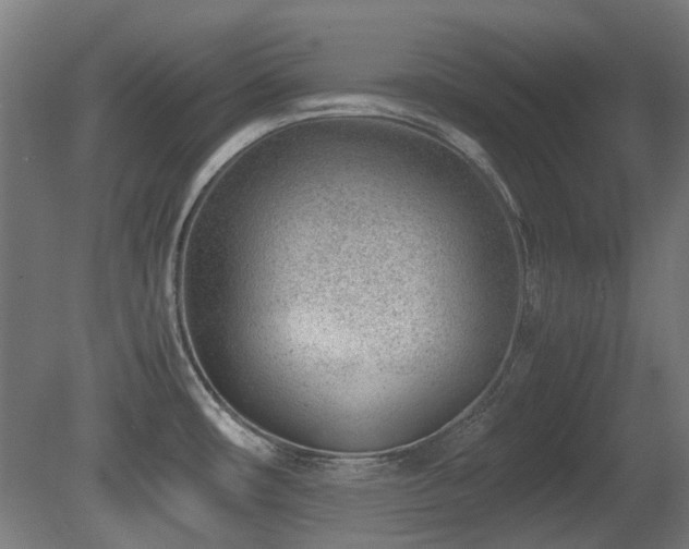 X0000081291482200701111345