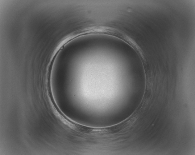 X0000081291483200701111345