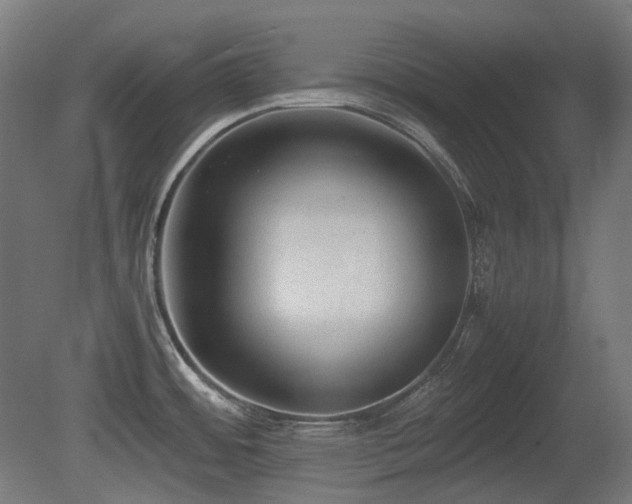 X0000081291484200701111345