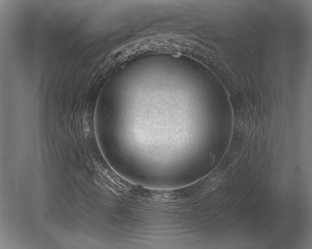 X0000081291490200701111344