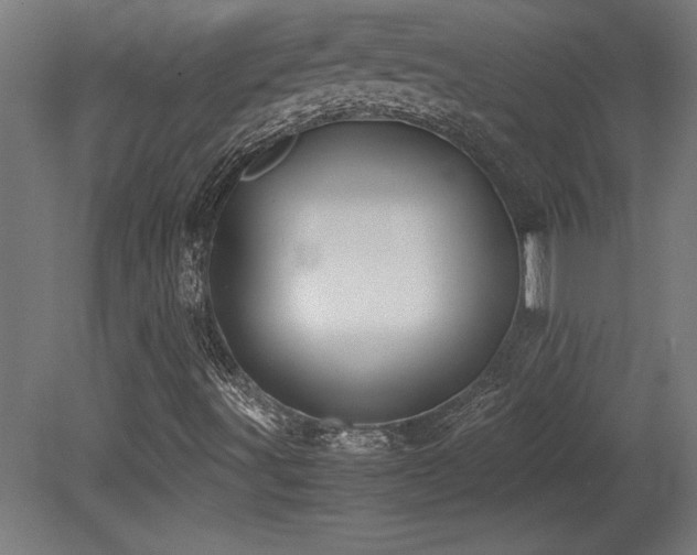 X0000081291491200701111345