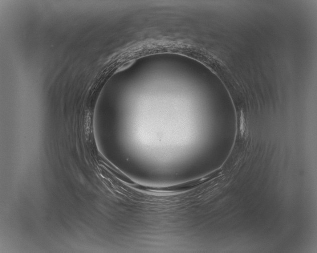 X0000081291492200701111345