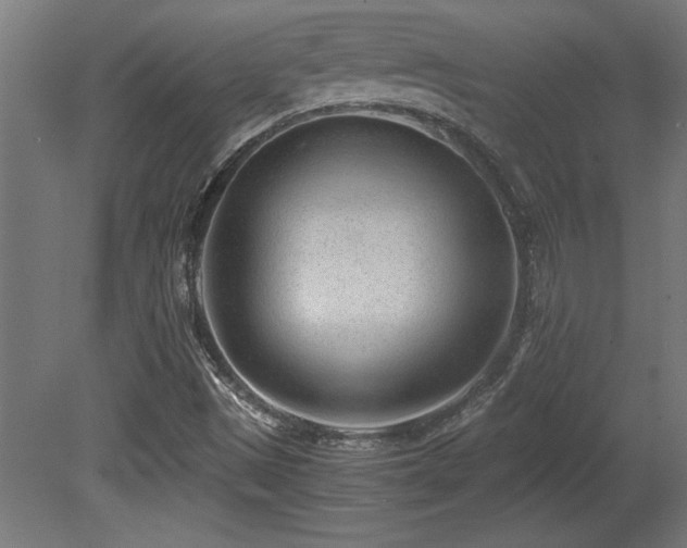 X0000081291497200701111345