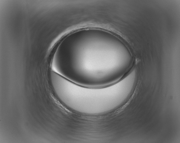 X0000081291502200701111345