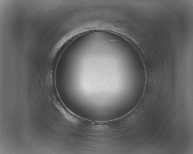 X0000081291503200701111345