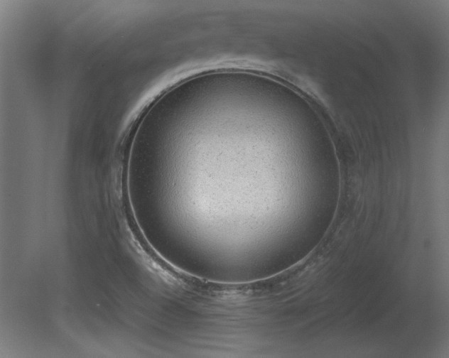 X0000081291504200701111345