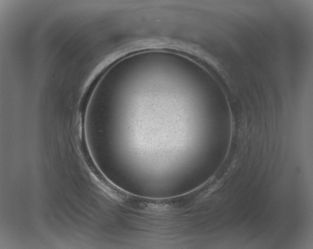 X0000081291509200701111345